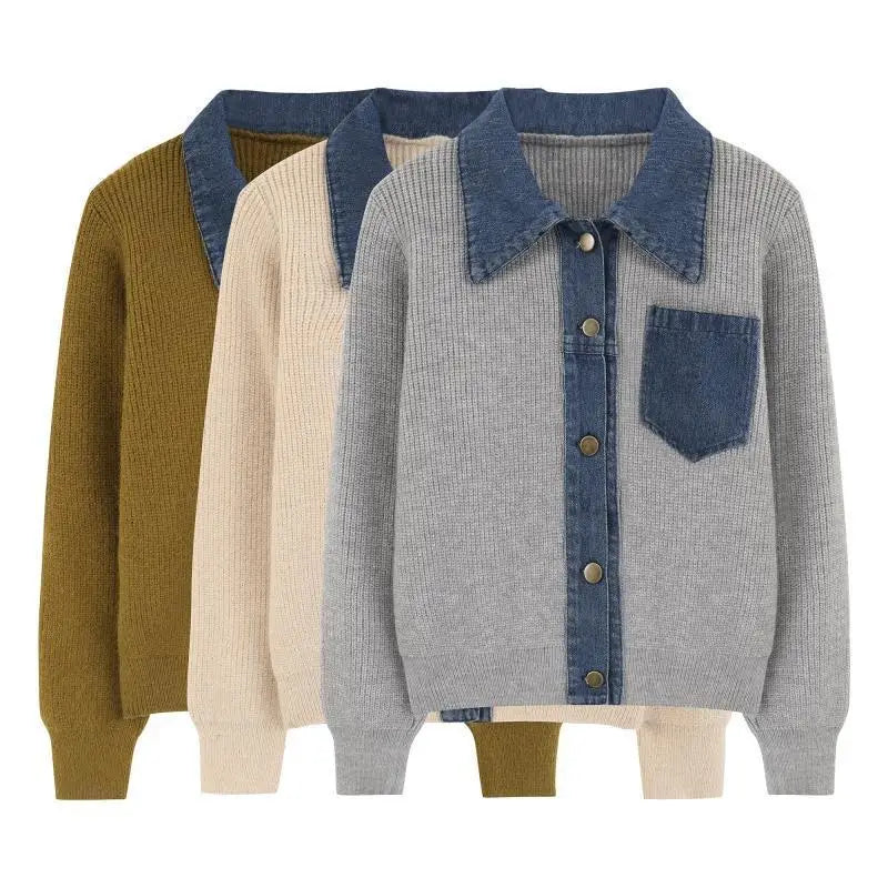 DenaMix Polo Sweater